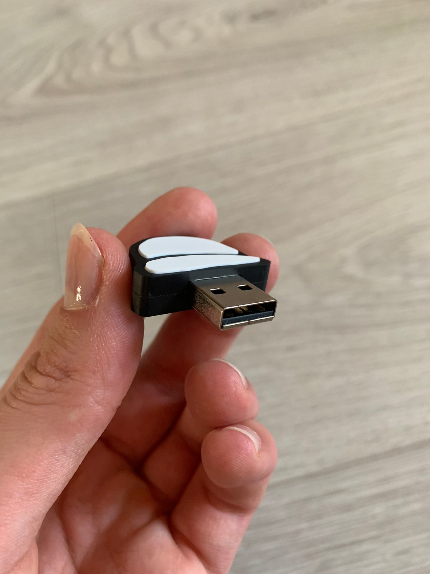 dog eat dog food world usb