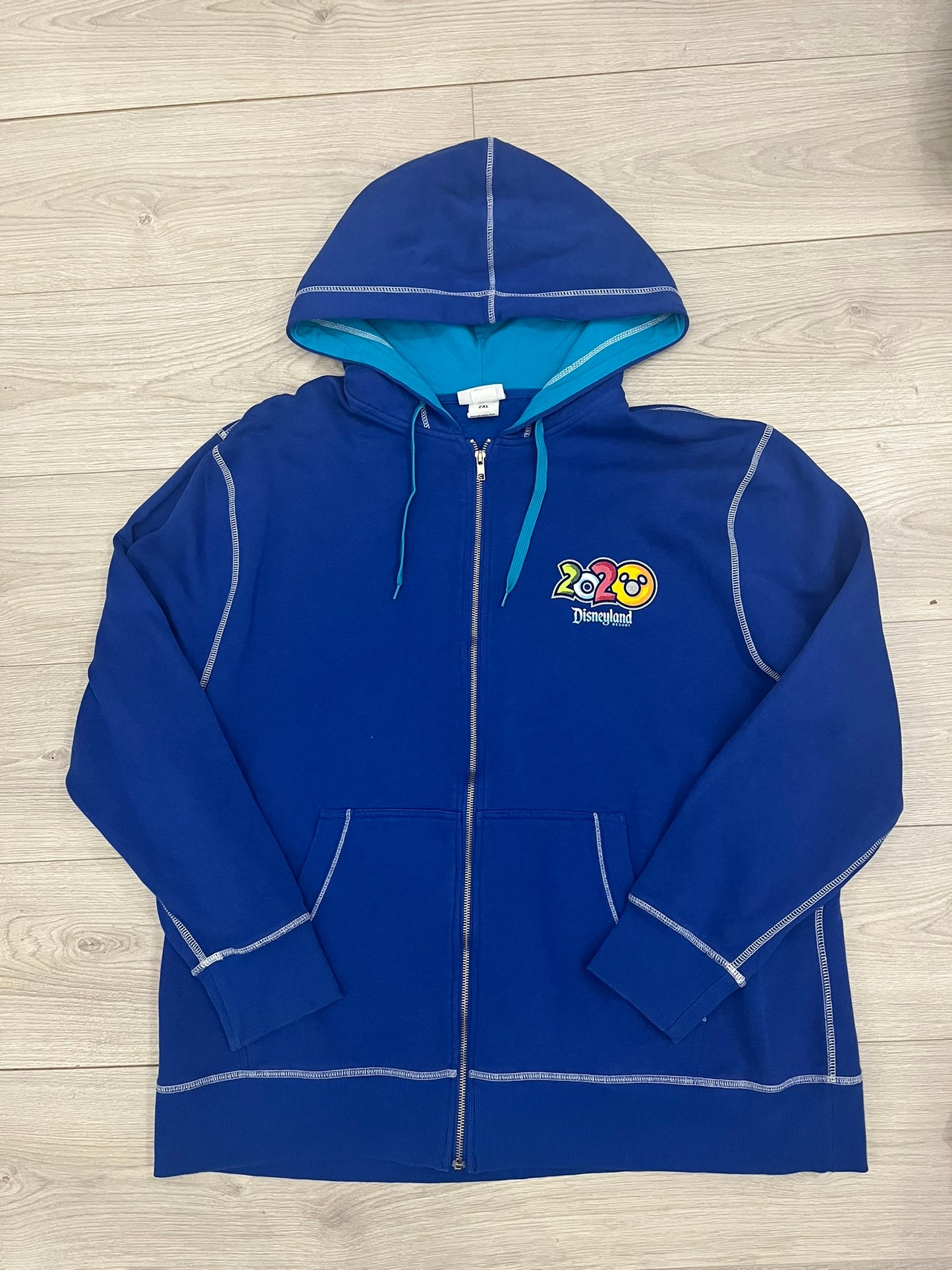 disneyland 2020 hoodie