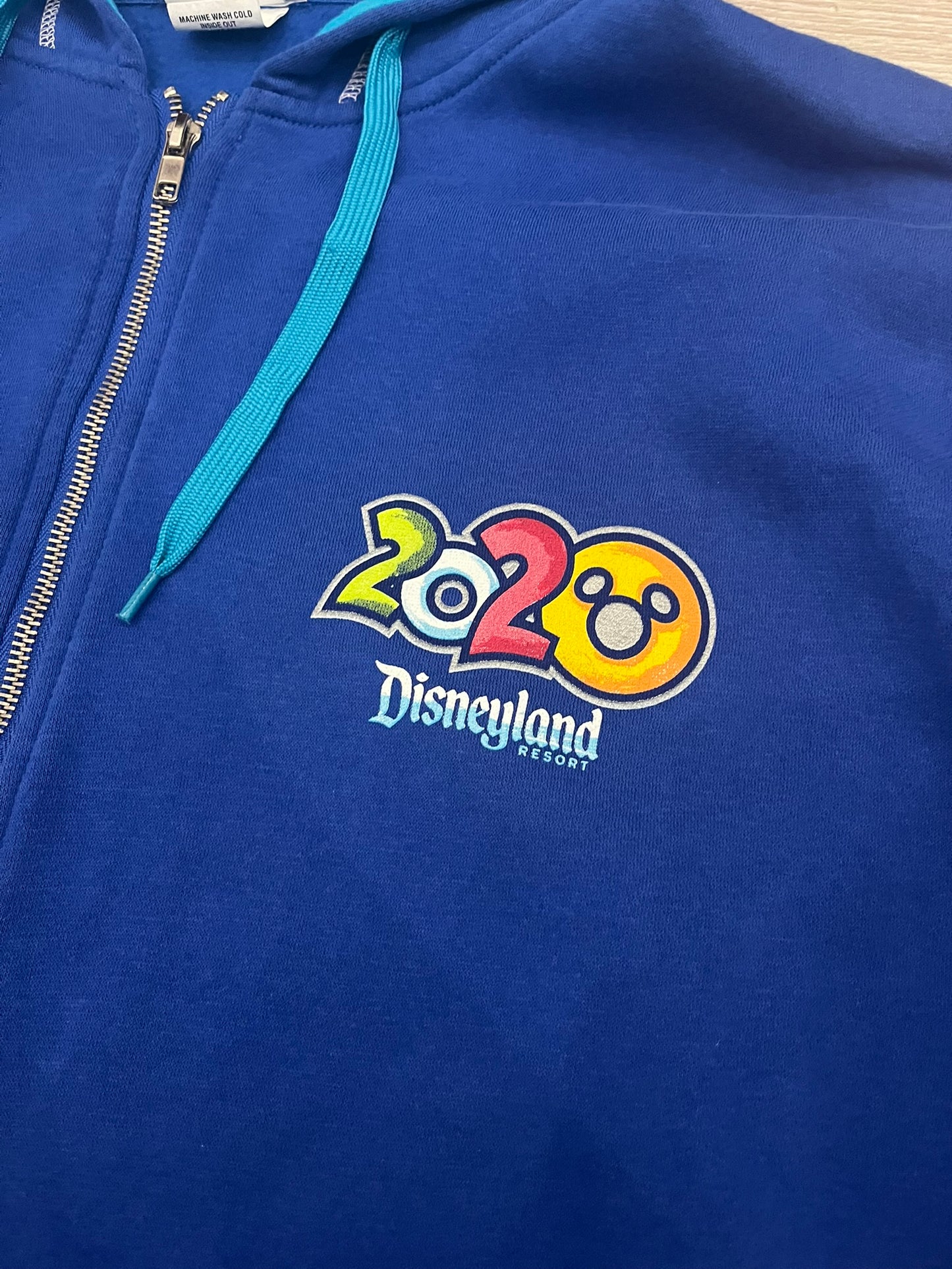 disneyland 2020 hoodie