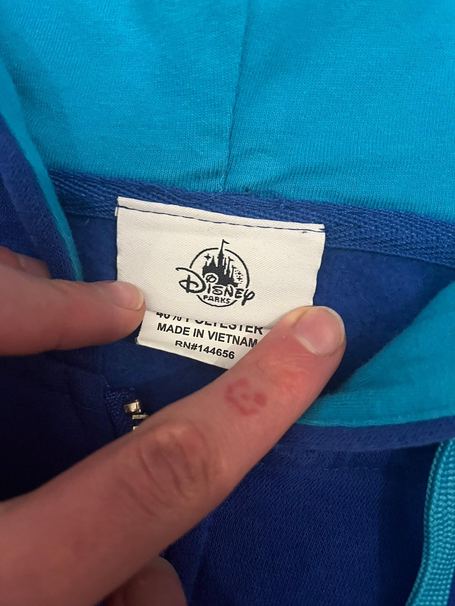 disneyland 2020 hoodie