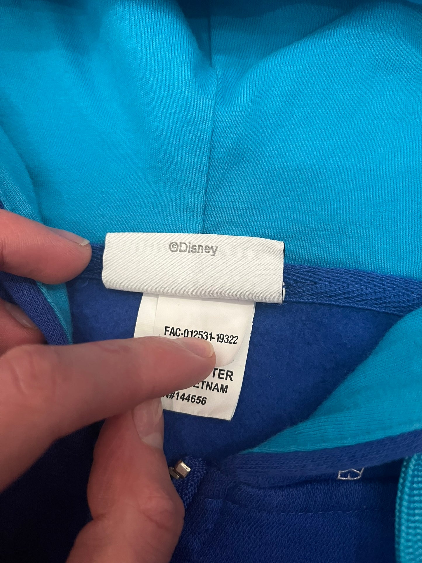 disneyland 2020 hoodie