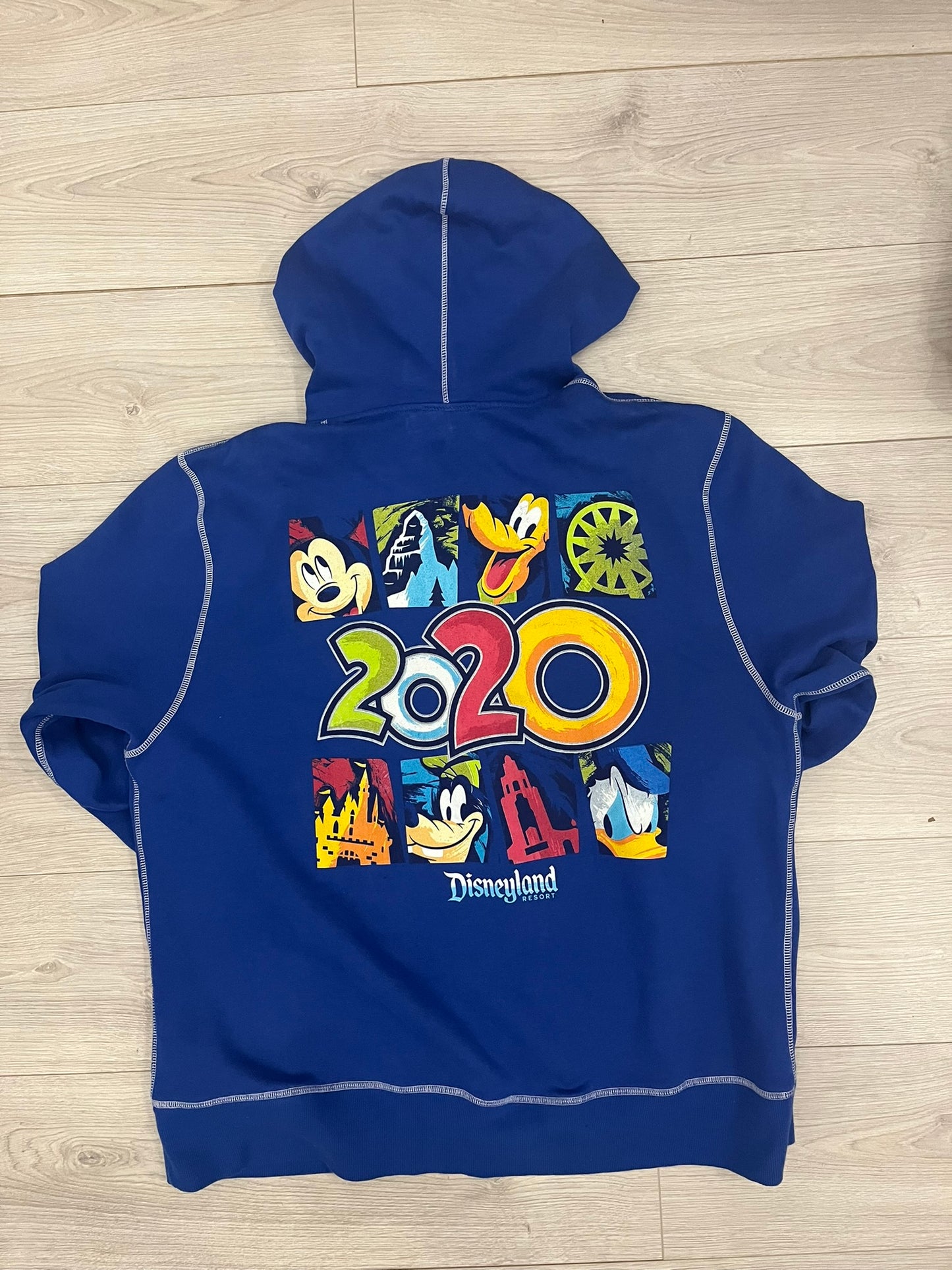 disneyland 2020 hoodie