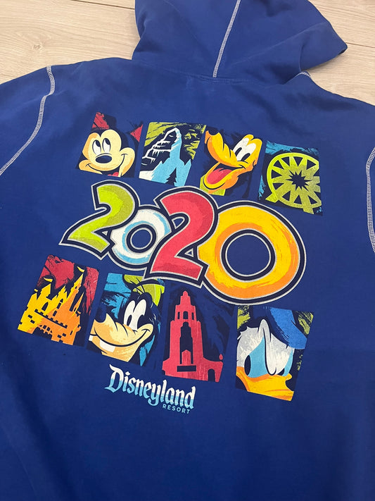 disneyland 2020 hoodie