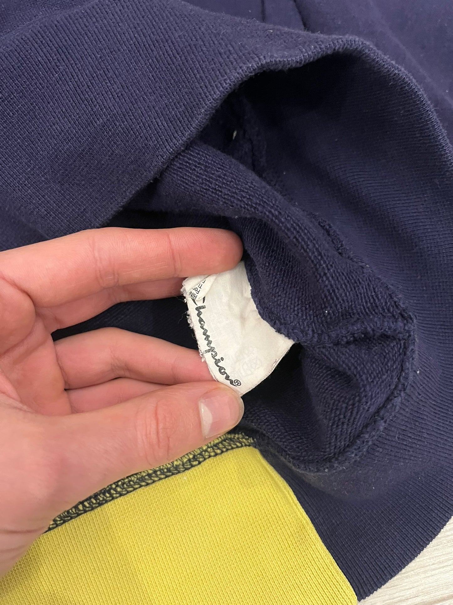 champion multicolor hoodie