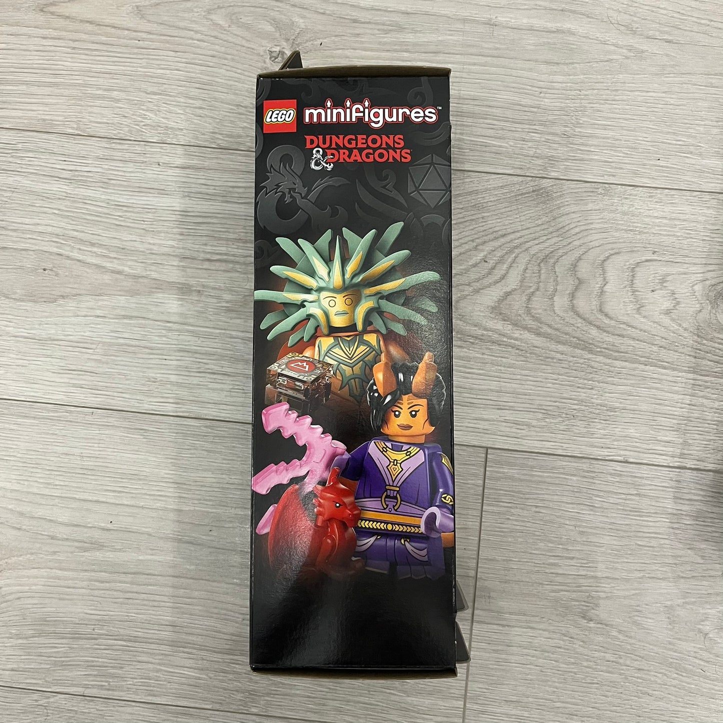 lego dungeons & dragons 71047 minifigures