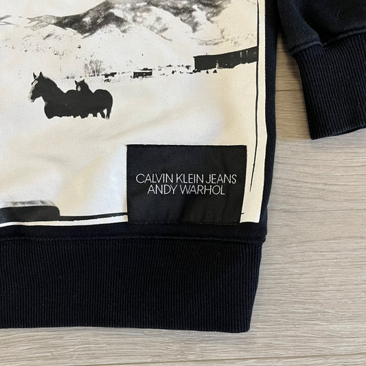 calvin klein x andy warhol crewneck