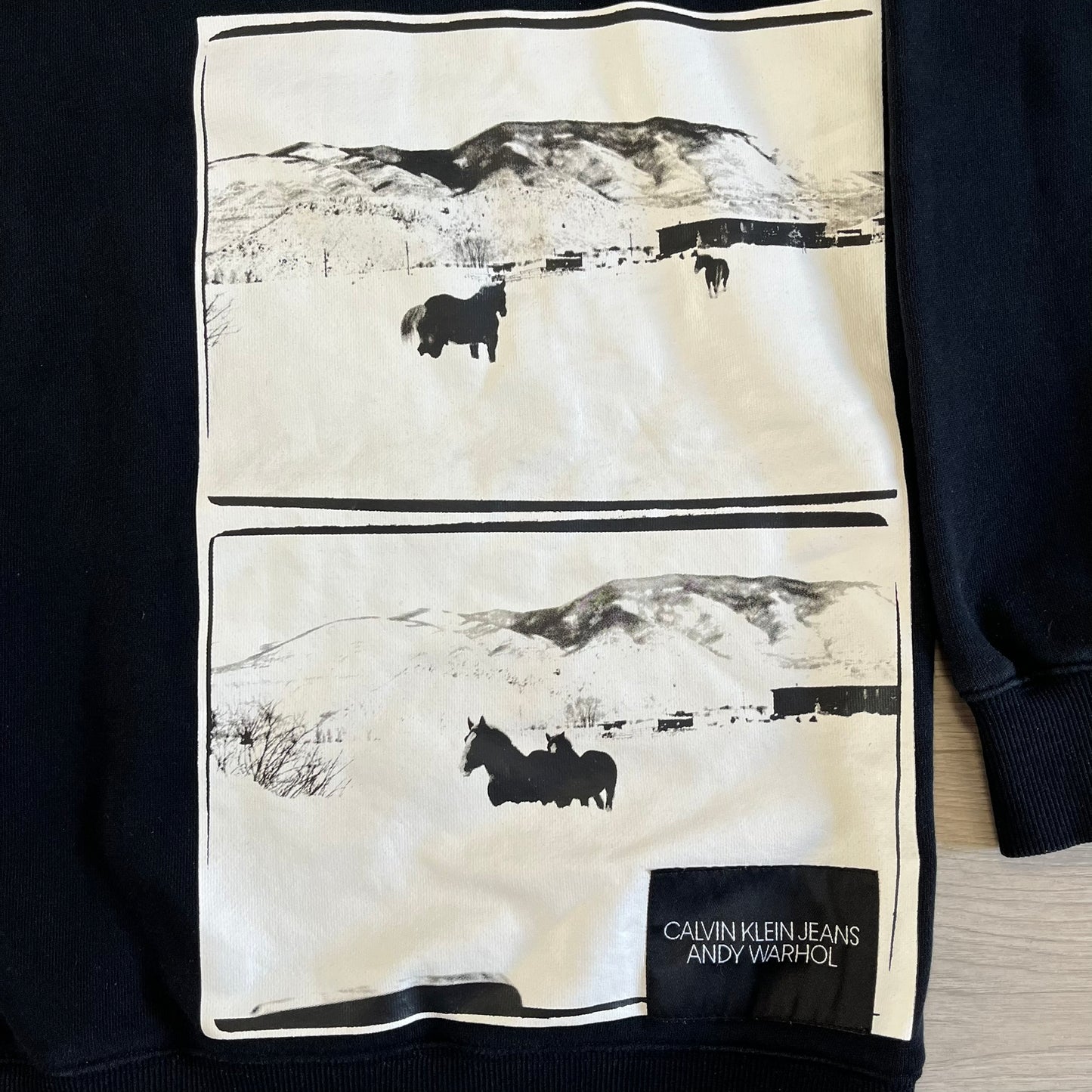 calvin klein x andy warhol crewneck