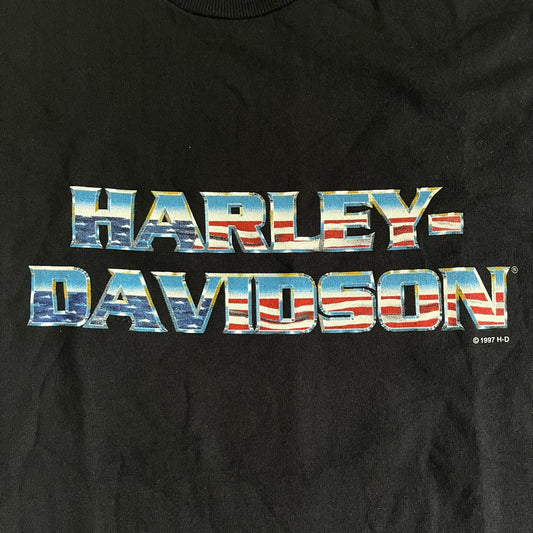 Black t-shirt with colorful 'Harley-Davidson' logo on a plain background