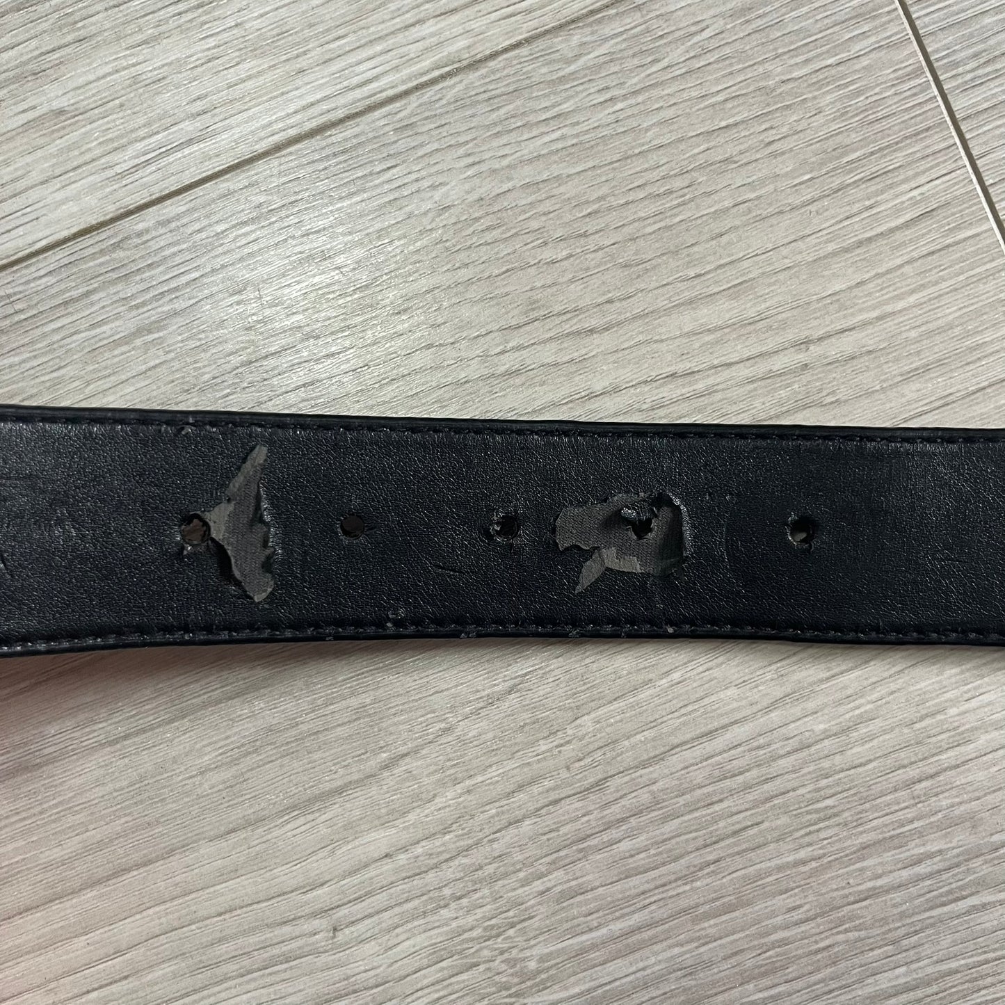 rocawear "sexy since 1999" belt