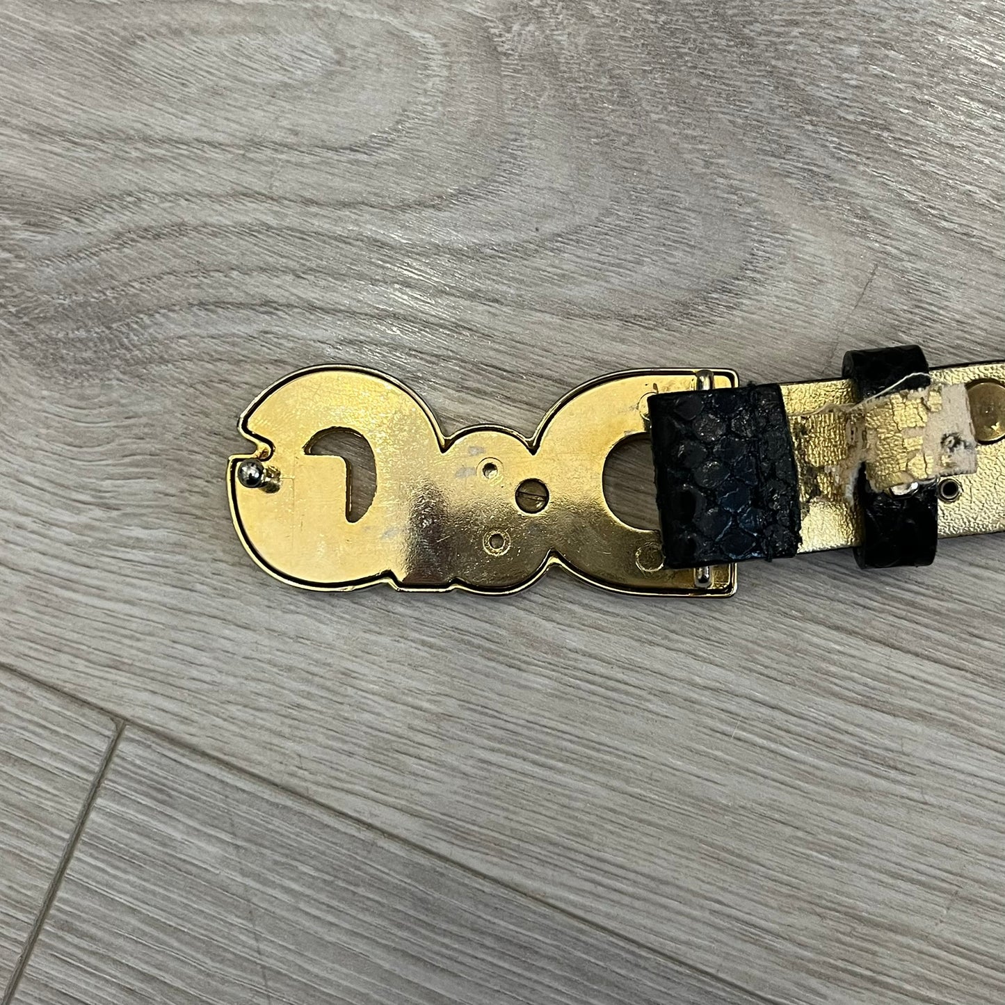 Dolce &amp; Gabbana Leather Studded Belt in black textured leather with a scaled, snake-like finish. The belt features gold stud detailing arranged in a clean pattern and a matching black D&amp;G buckle trimmed with gold hardware and exposed screws. The interior is finished in gold, adding a refined contrast to the overall design.