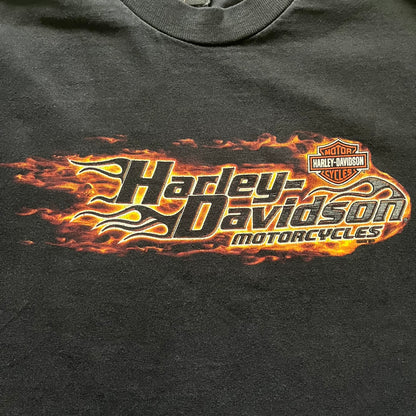 Harley Davidson Grand Island 2000’s Tee featuring a fiery Harley Davidson Motorcycles logo on the front and a USA flag graphic with Harley branding and “Grand Island, NE” text on the back. Classic black vintage tee with a timeless biker aesthetic.