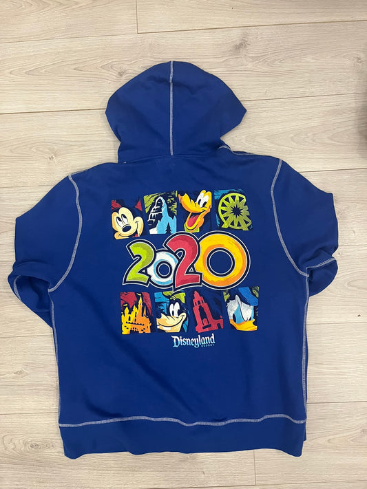 disneyland 2020 hoodie