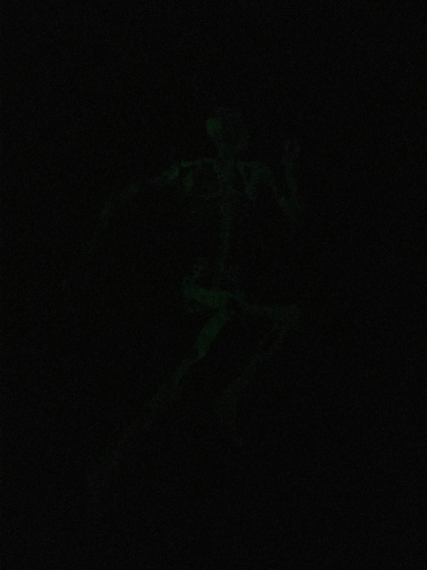 nike x-ray tee