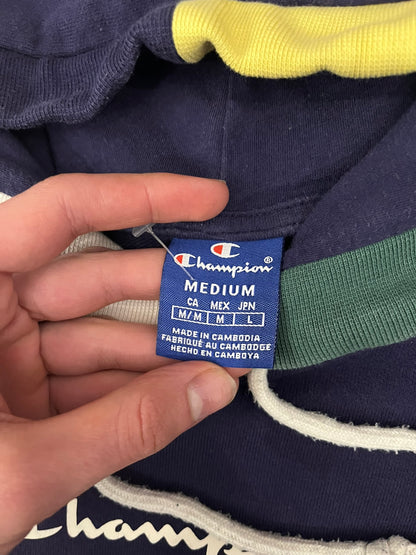 champion multicolor hoodie