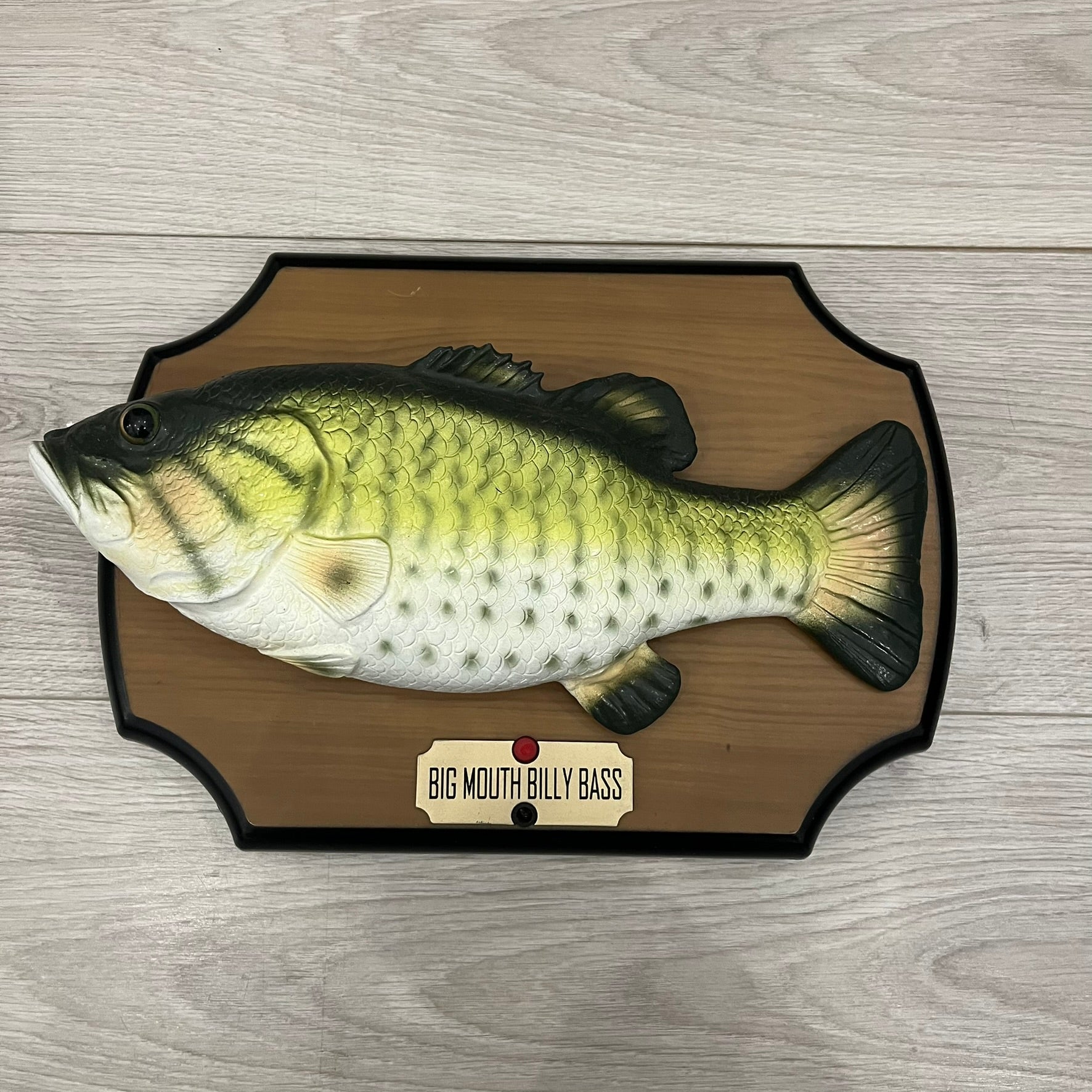 Gemmy Big Mouth Billy Bass - Poisson Chantant 1999, Boîte D'origine, Pour Pièces