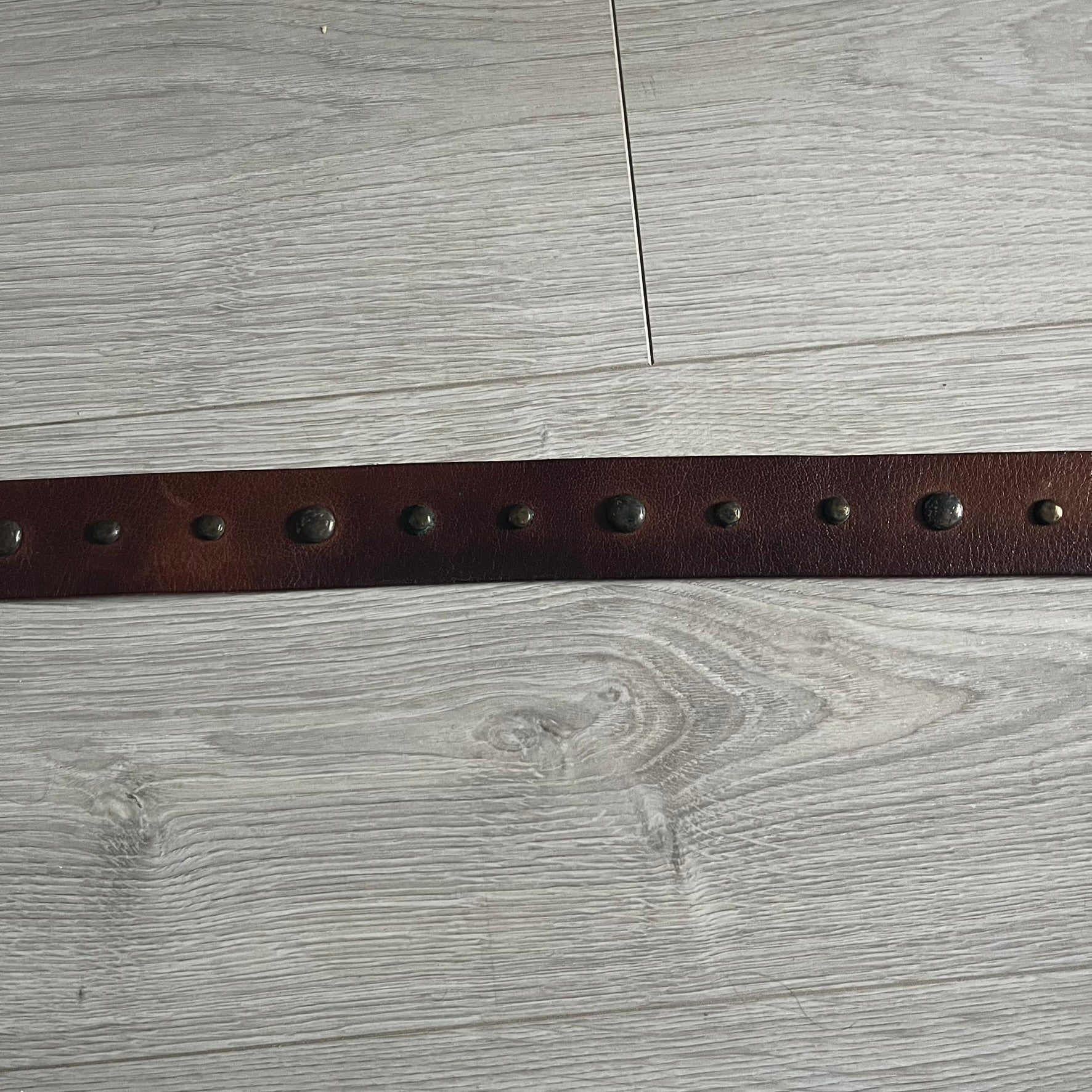 Just Cavalli Green Metal Buckle Studded Belt featuring a shiny green metallic buckle with the Just Cavalli logo in the center, surrounded by metallic studs. The brown leather strap is accented with a line of metallic studs along its length.