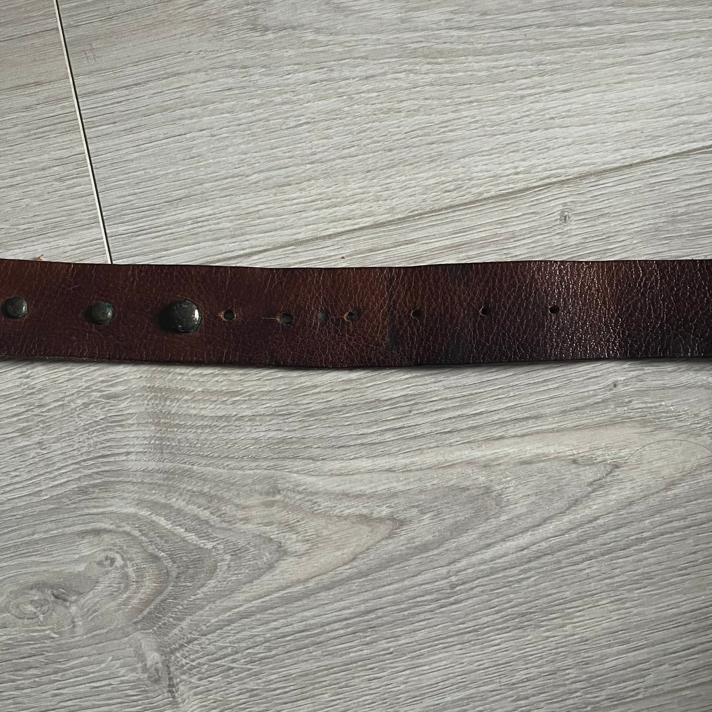 Just Cavalli Green Metal Buckle Studded Belt featuring a shiny green metallic buckle with the Just Cavalli logo in the center, surrounded by metallic studs. The brown leather strap is accented with a line of metallic studs along its length.