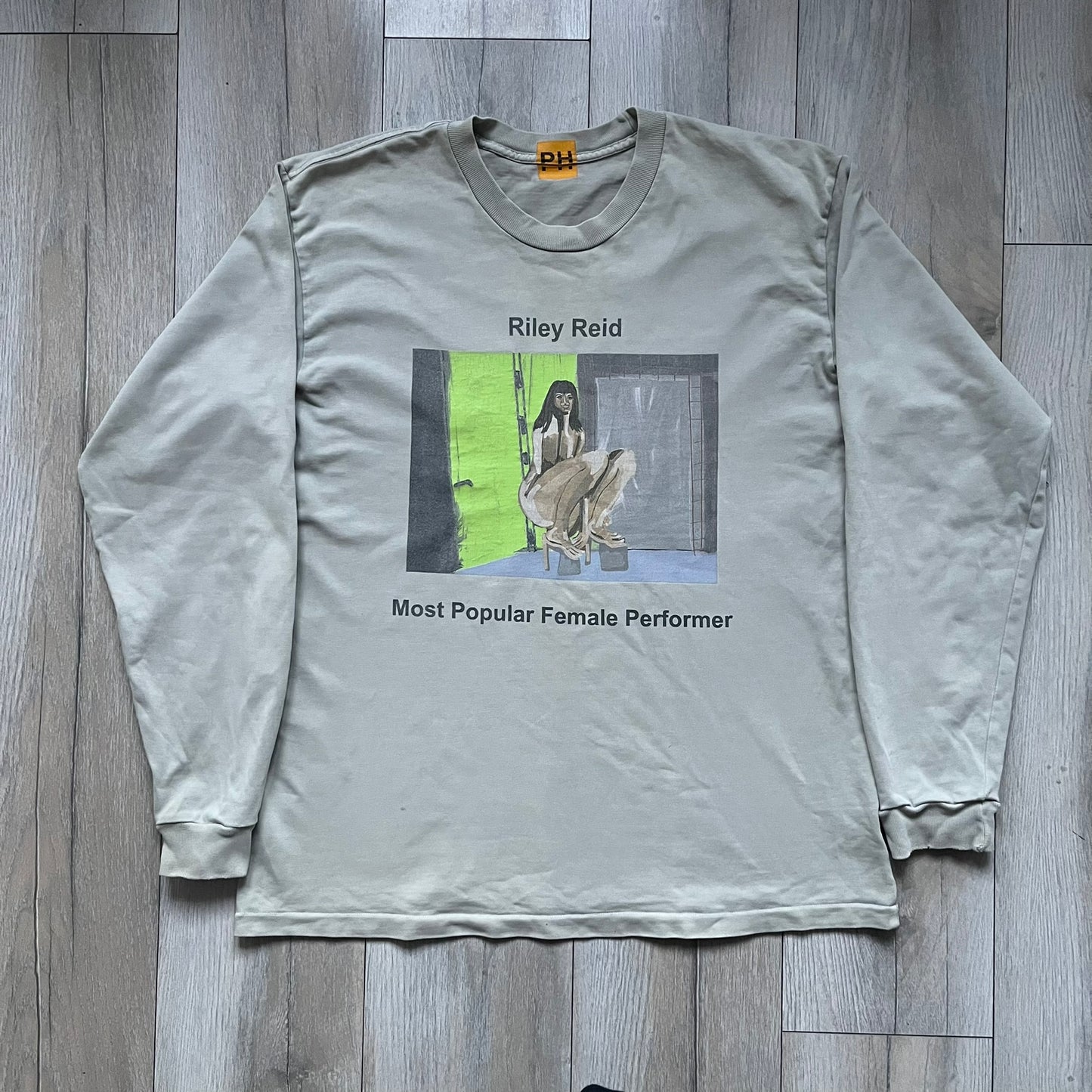 Longsleeve tee from the FW18 Kanye West x Pornhub collection, released 09/07/2018. Vapor color, featuring a front illustration of Riley Reid with her name above and “Top Female Performer” below. Back has the numbers “6918” (futuristic theme set in the year 6918). Includes printed Pornhub tag and YEEZY wash tag, part of a limited run commemorating the 2018 Pornhub Awards.
