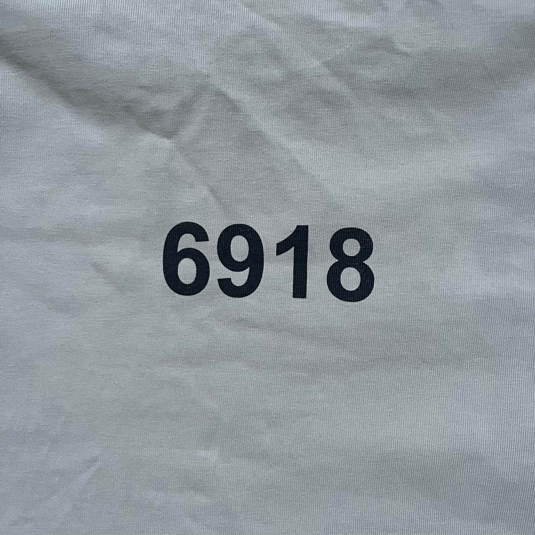 Longsleeve tee from the FW18 Kanye West x Pornhub collection, released 09/07/2018. Vapor color, featuring a front illustration of Riley Reid with her name above and “Top Female Performer” below. Back has the numbers “6918” (futuristic theme set in the year 6918). Includes printed Pornhub tag and YEEZY wash tag, part of a limited run commemorating the 2018 Pornhub Awards.