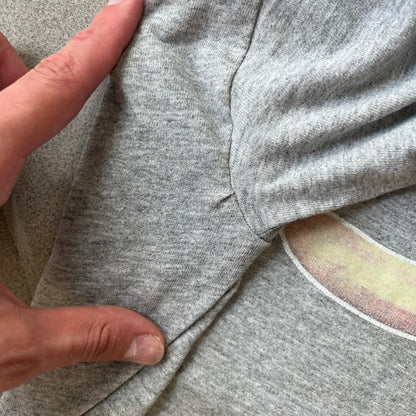 Porn Star Clothing 90's Fruits Gray Tee features a grey T-shirt with an apple, banana, and pear graphic on the chest, arranged as a you know what. A small Porn Star logo is printed underneath, with the “Good Clothing for Bad People” branding on the neck tag. The shirt has two professionally repaired holes under the armpits.