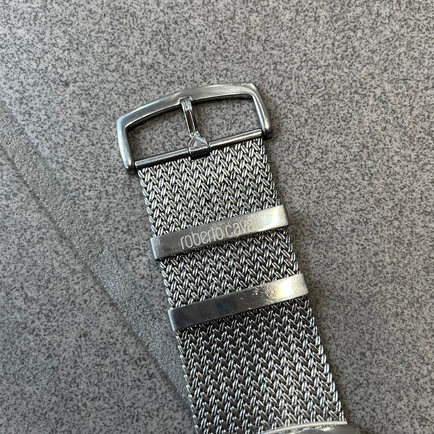 Roberto Cavalli 2000's Ellisse Analog Watch features a curved silver-tone case with a textured mesh bracelet and adjustable strap. The dial has a pearlescent finish that changes slightly depending on the angle, with no hour numbers and a small Roberto Cavalli logo at the bottom.
