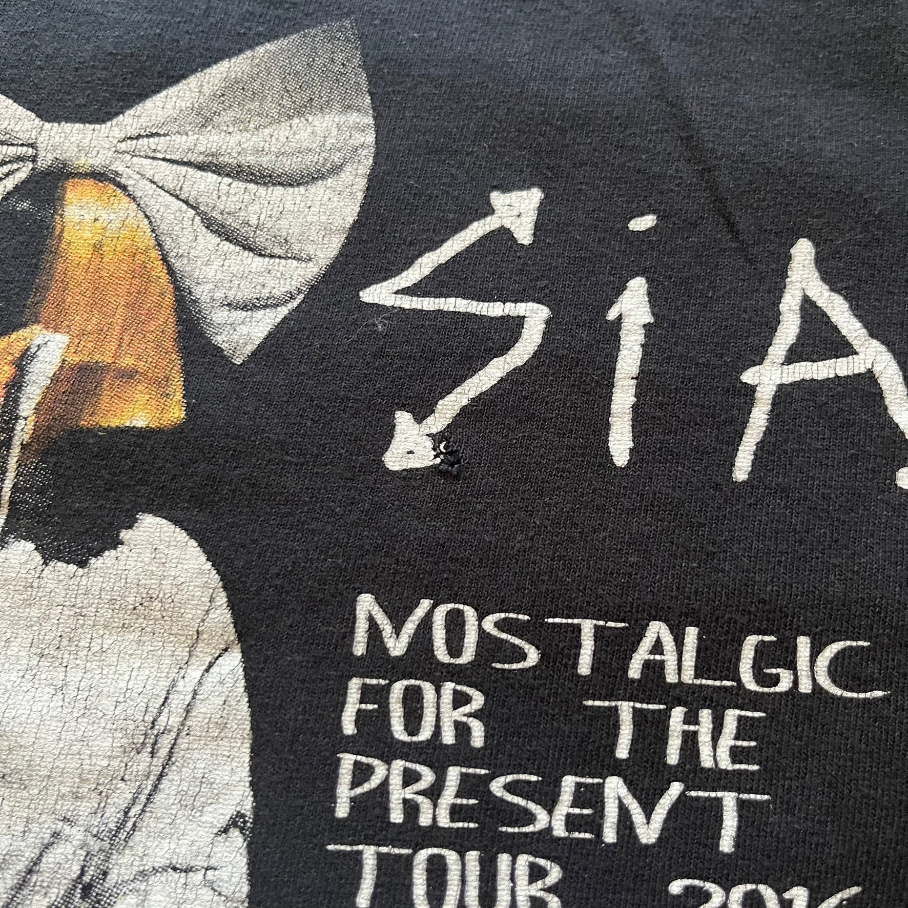  Sia 2016 Nostalgic For The Present tour tee in black, printed on a durable Delta Pro Weight blank. The front features a Sia graphic, while the back lists all U.S. tour cities where she performed. Made as official merchandise for the 2016 tour, this tee combines quality construction with collectible tour details.