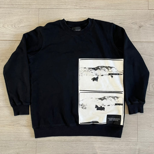 calvin klein x andy warhol crewneck