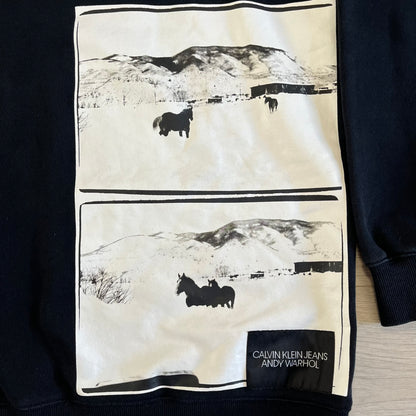 calvin klein x andy warhol crewneck